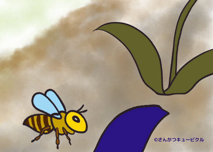 花とミツバチとぽわん
