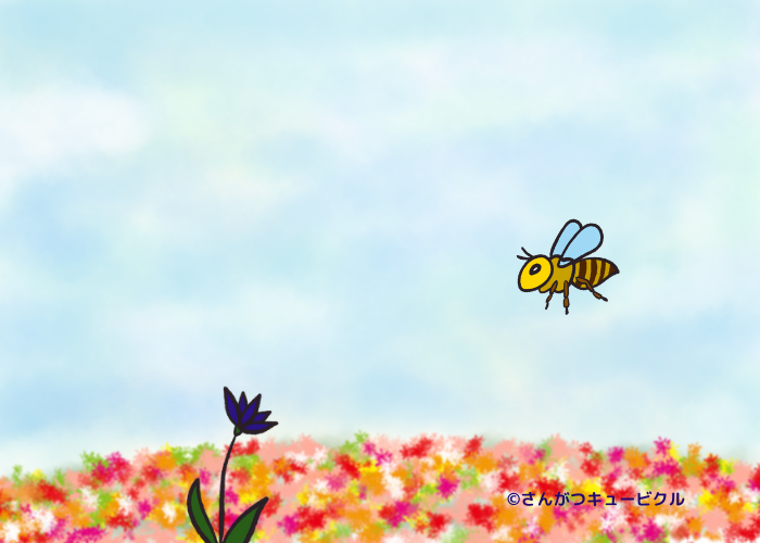 花とミツバチとぽわん