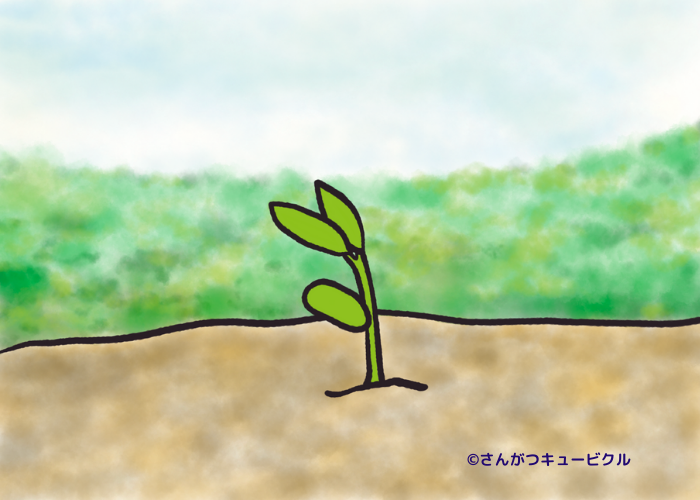 花とミツバチとぽわん